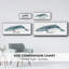 Baleine I - toile encadrée-536834648