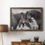 Chevaux sauvages - Photographie de cadre photo sur toile-265811772-265811761