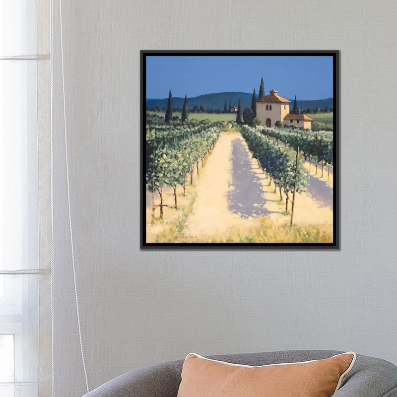 «Vineyard Shadows» par David Short - Impression sur toile tendue sur châssis, H 18 po x l 18 po x P 1,5 po, Pas de tapis