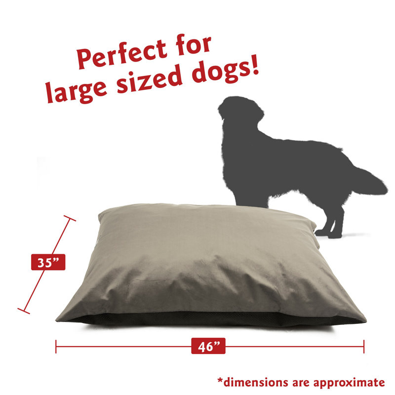 Coussin pour chien Villa Majestic, Gris, Grand (l 46 po x P 35 po x H 7 po)