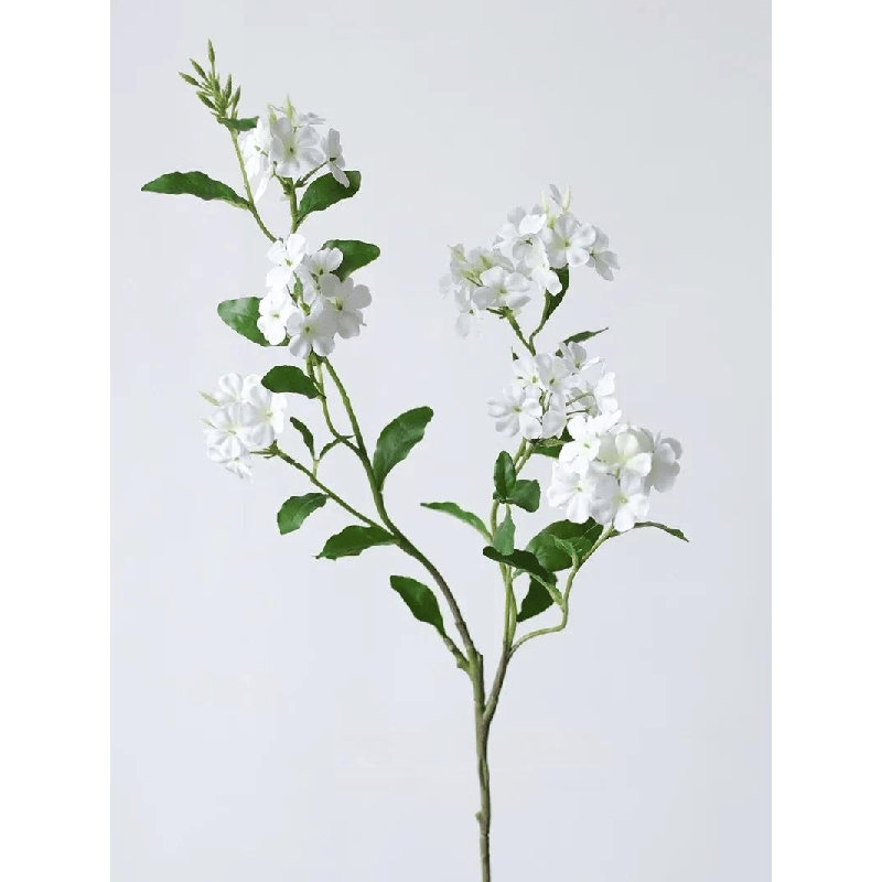 Garden Garden - 34 po, [D] 12 Stems, Powder Blue