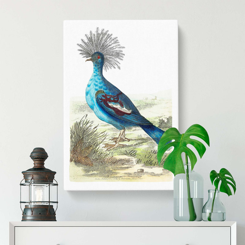 Crowned Pigeon by George Shaw - Wrapped Canvas Painting, 60cm H x 40cm W x 3cm D