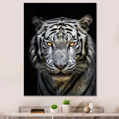 Fierce White Tiger II - Tiger Framed Prints