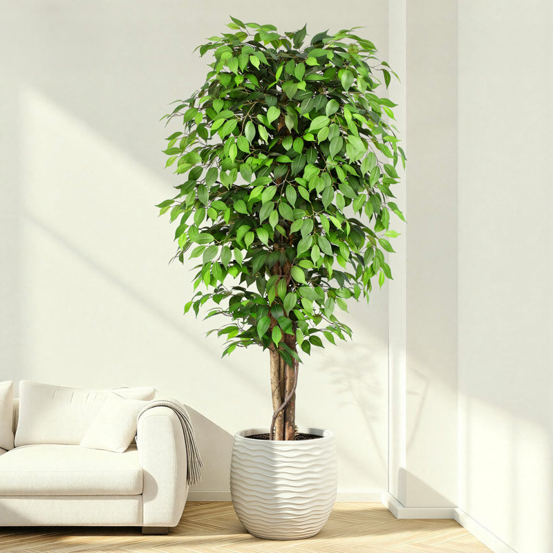  Grand ficus artificiel de 7 pi - grand ficus artificiel en pot noir - ficus artificiel pour espaces commerciaux, halls d'entrée d'hôtel et décoration intérieure