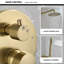 All-In-One Kit with Rough in-Valve