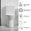 One-Piece Dual-Flush Modern Toilet with Comfort Chair Seat