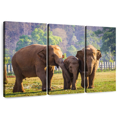 Famille d'éléphants Brampt