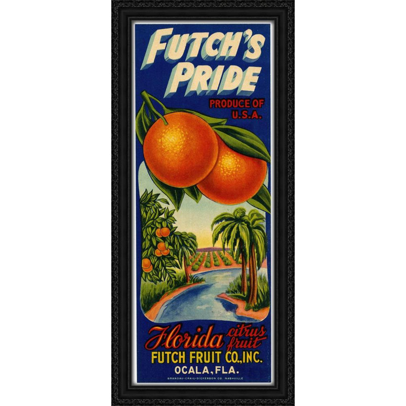 Étiquette d'agrumes Futch's Pride (1930-1950), H 40 po x l 18 po