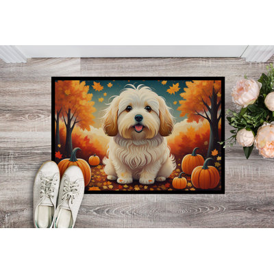 Chesterwood Non-Slip Doormat