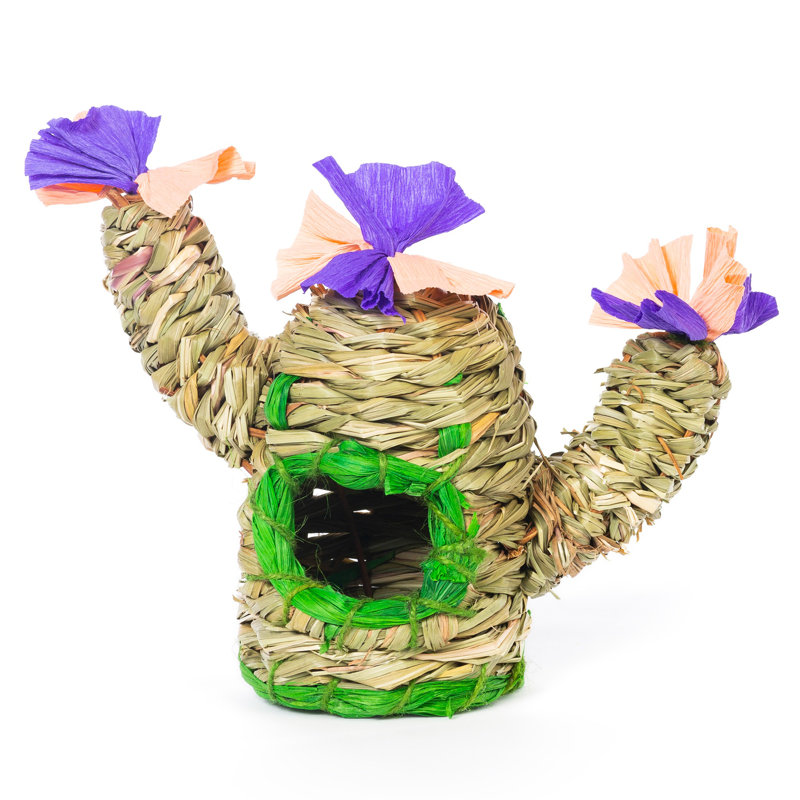 480449 Saguaro Hideaway - Petit