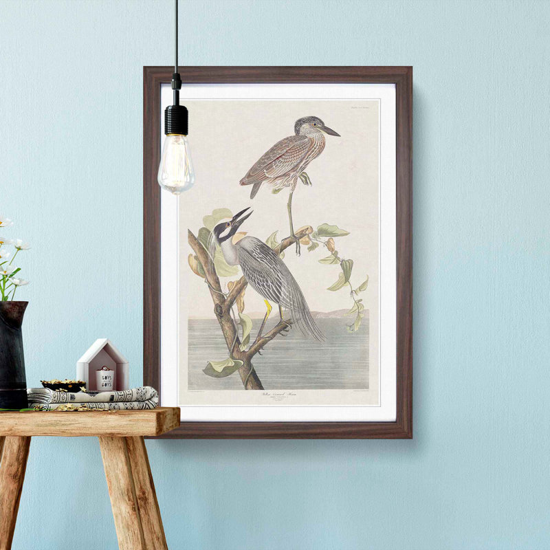 Yellow-Crowned Heron by John James Audubon - Picture Frame Art Print, 65cm H x 48cm W x 2cm D, Walnut Framed