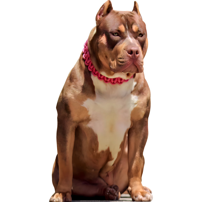 Chien de garde découpé en carton 46 po