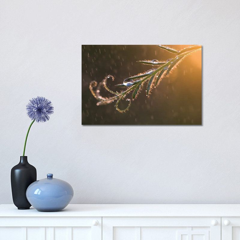 Summer Rain Ii 1 Piece Wrapped Canvas Wall Art, 30.48cm H x 45.72cm W x 1.9cm D