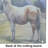 Llama Glass Cutting Board Large