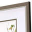 Botanical Reverie S/4 Print by Bragg Propac Images