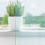 Voile Curtains With Tab Top 2 Pcs-2099272487-2099272483