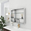 Miroir pour armoire à pharmacie Landseer-38075761-38075760