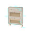 16 Pair Shoe Storage Cabinet