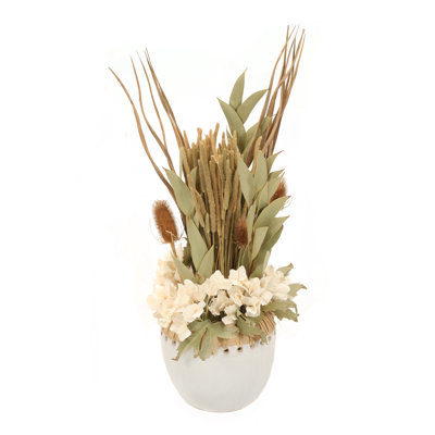 Arrangements floraux d'hortensias en pot