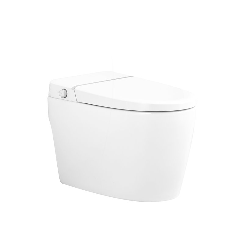 Combo intelligent pour bidet de toilette avec buse autonettoyante