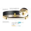 LED Integrated Black Flush Mount Ceiling Light with Etched Acrylic Edge Lit Shade and Brass Accents