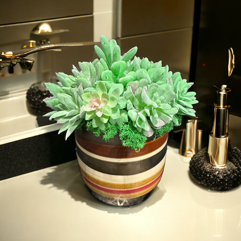 Conception succulente sur un vase circulaire en céramique | Arrangement floral unique en son genre | Décoration intérieure minimaliste