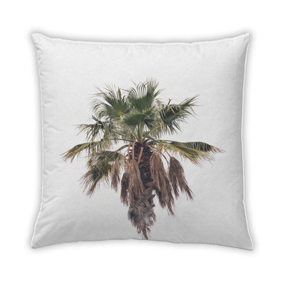 Coussin Plants Palm Tree 69