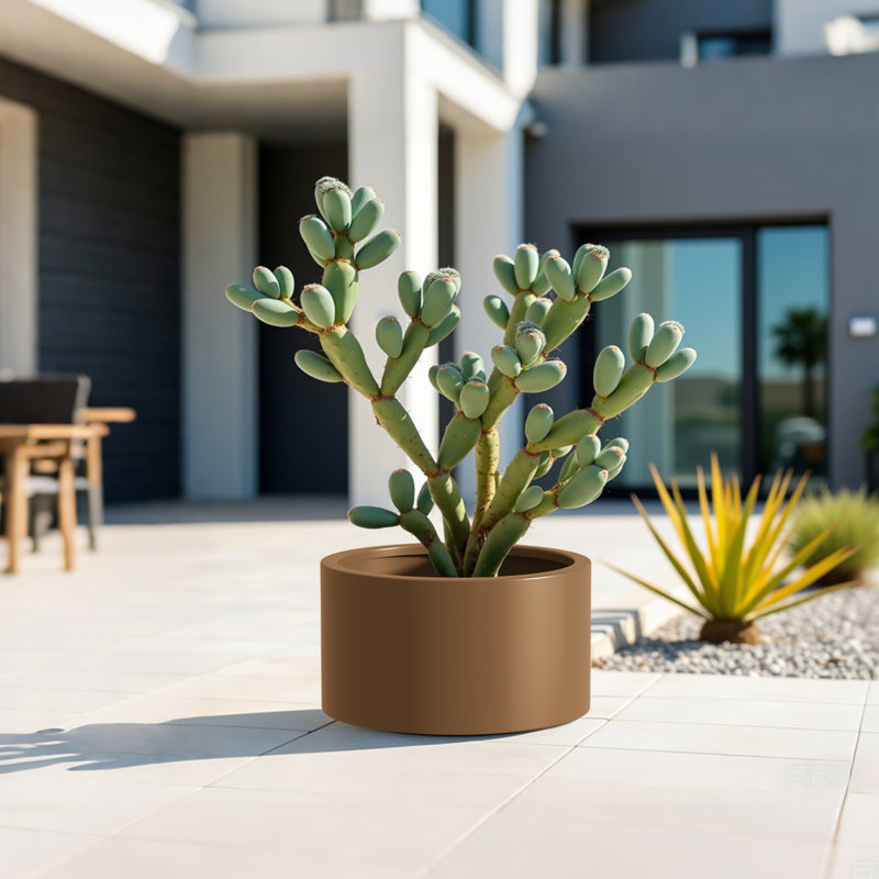 Ensemble de lit de jardin surélevé robuste en acier Corten, H 15,5 po x l 12 po x P 15,5 po, Brun