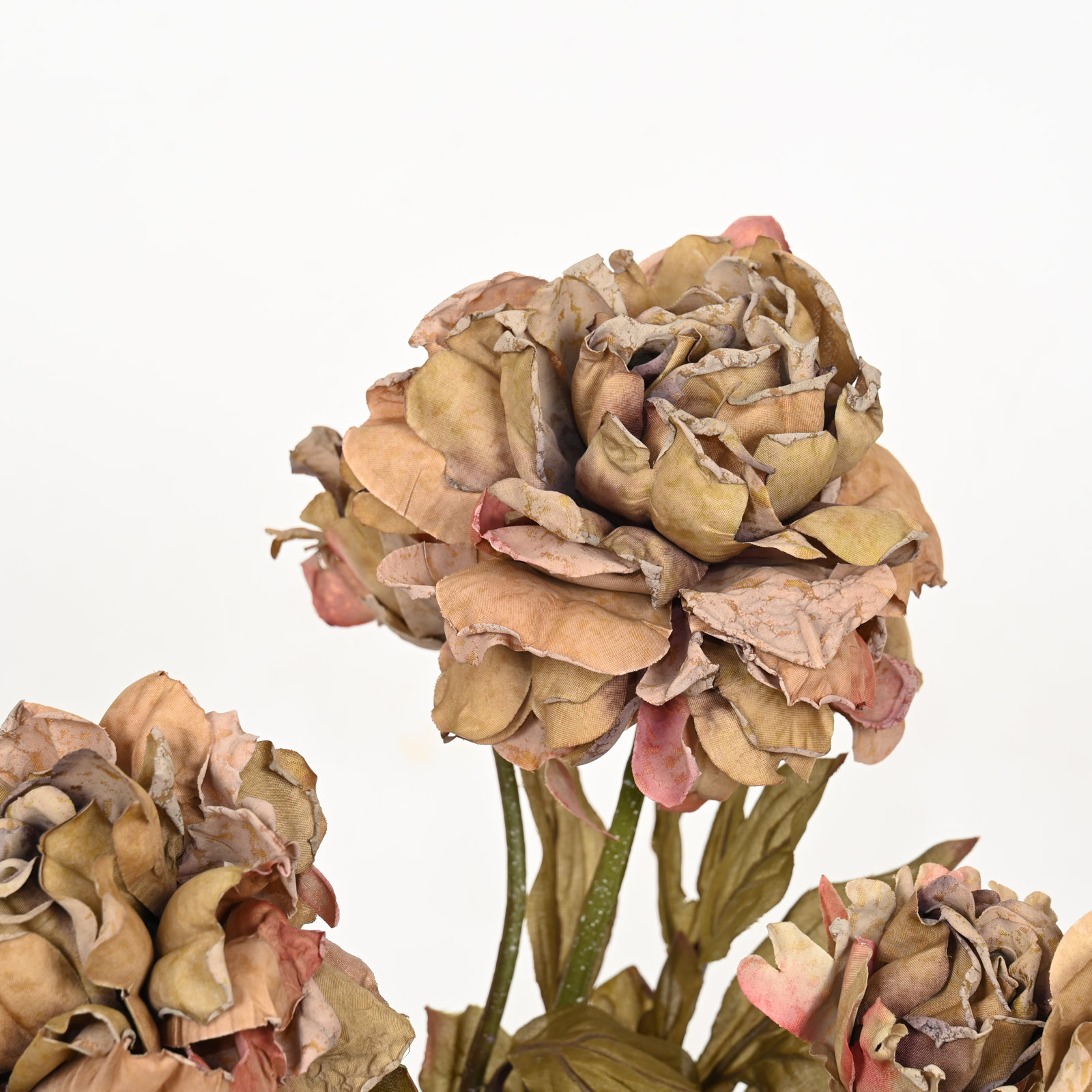 Peony Floral Arrangement, Brown