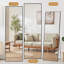 Miroir de plancher pleine longueur-1735185263-1735185249