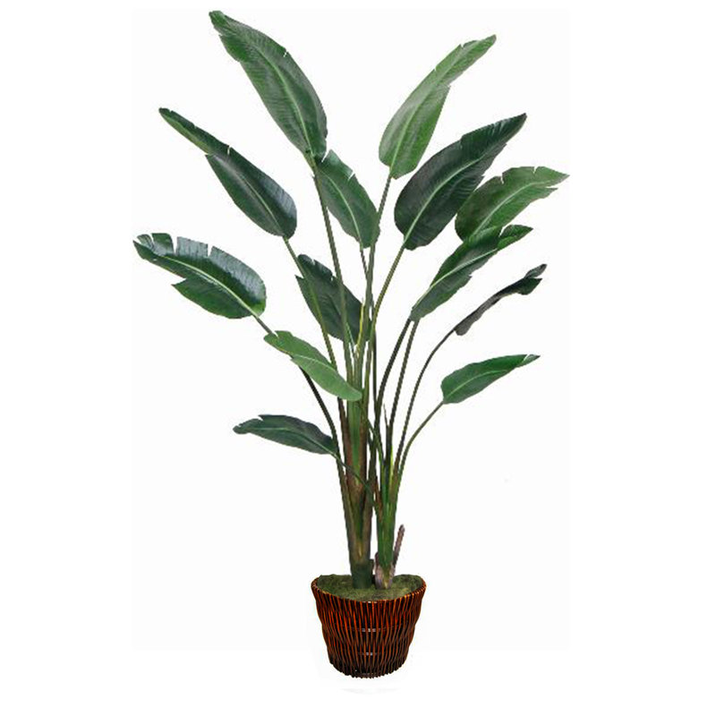 Arbre en faux palmier voyageur, H 72 po x l 36 po x P 36 po