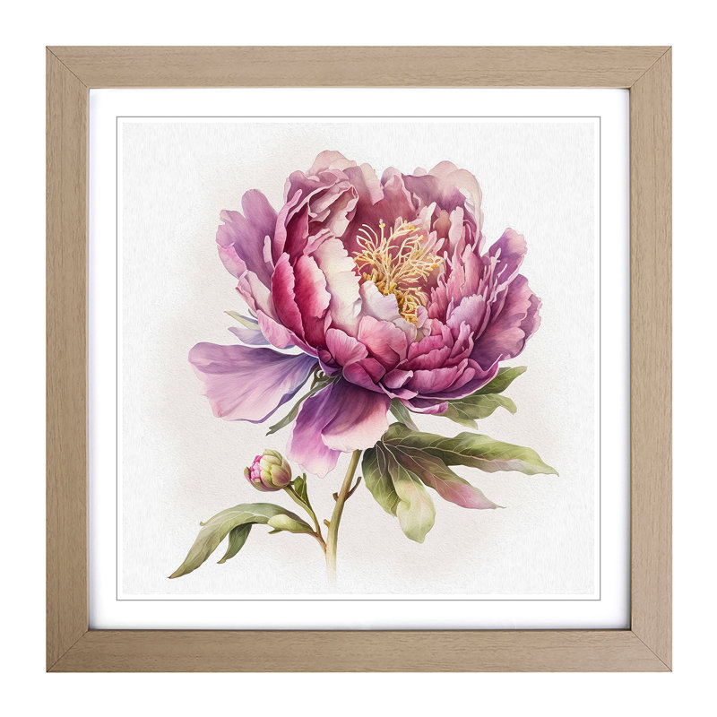 Peony Flower Watercolour - Framed Print