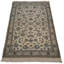 Plamedi Oriental Area Rug in Beige