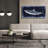 'Shark Swim 3    ' by Stellar Design Studio, Canvas Wall Art-1038561601