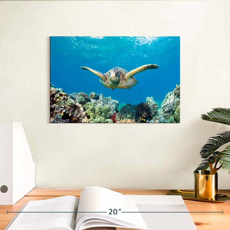 Maui Green Sea Turtle, 8" H x 12" W