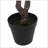 ARTIFICIAL DISC LEAF TREE-312654925