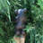 Call Of The Wild Garden Statue-1595671779