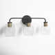 Attamore 3 Light Transparent Dimmable Vanity Light