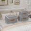 Brayden Studio Bin-1707001475-1707001479