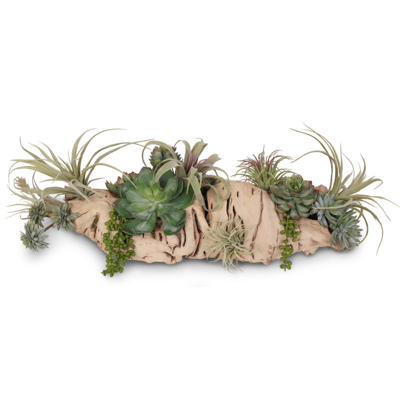 Faux Succulent Plant in Wood Pot