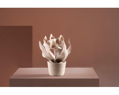 Protea Mini Fendi
