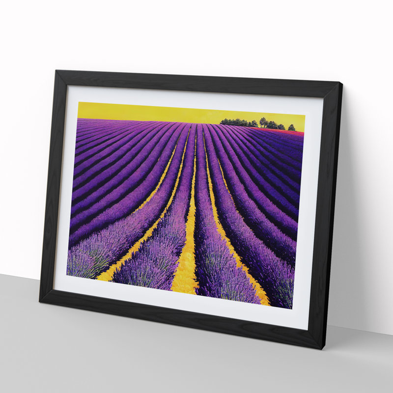 Flawless Lavender Flower Field - Single Picture Frame Print, Black, 46cm H x 64cm W x 2cm D