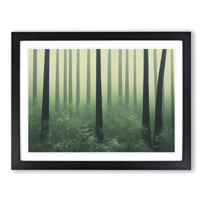 Contemporary Forest - Framed Print