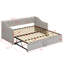 Upholstered Daybed With Pop Up Trundle-659791421