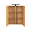 Ellinore 600mm W 720mm H Surface Frameless Medicine Cabinet Mirror 3 Adjustable-135546991