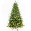 Arbres de noël