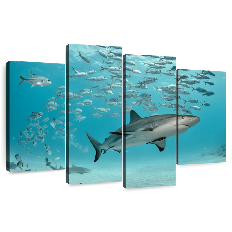 Brampt Caribbean Fish And Sharks, 22"H x 36"W