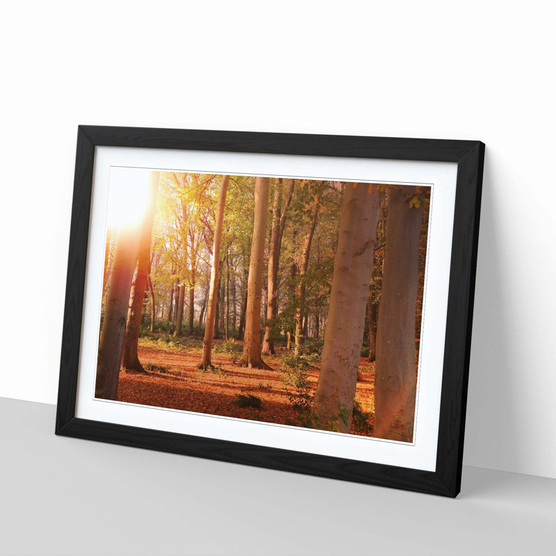 Landscape Autumn Forest Wood Framed Print, Black