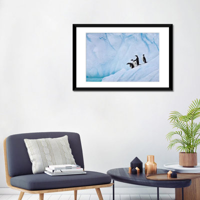 " Adélie Penguins, Paulet Island " Color Photography Print