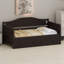 Multi-Functional Wood Daybed Featuring Hidden Trundle Bed and Dual-Purpose Sofa Design-129687909